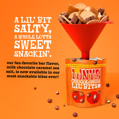 2 Pack Tony’s Chocolonely Lil’Bits Milk Chocolate Caramel Sea Salt Cook,