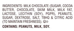 REESE’S – SNACK SIZE PEANUT BUTTER CUPS IN MILK CHOCOLATE, BULK BAG-PRICE VALUE!