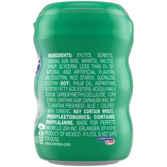Mentos Gum Wintergreen, 10.0 ea(2 Pack)