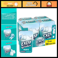 Sugar-Free Chewing Gum Bulk Pack – 40 Pieces Polar Ice Flavor, 4 Bottles