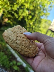 Dozen – White Chocolate Chip Oatmel Cookies