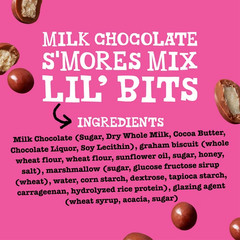 Tonys Chocolonely Lil’Bits Milk Chocolate S’mores 4 oz, Bag