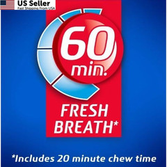Dentyne Ice Sugar Free Gum – Peppermint 16-Piece 144 Count (Pack of 1), green