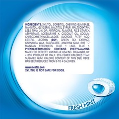 120 Count Fresh Mint Sugar-Free Chewing Gum with Xylitol – Guilt-Free Freshness