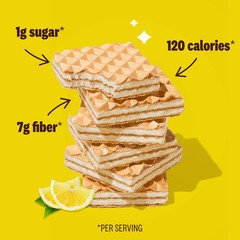 Rip Van Wafels Lemon Cookies, 16 Count, 1g Sugar, 4g Carbs, Vegan, Keto Friendly
