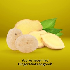Ginger Mints – 2 Pound Bulk Pack (About 180 Count) – Hard 2 (Pack of 1)
