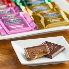 GHIRARDELLI MILK/DARK Chocolate ASSORTED Squares WRAPPED -BULK BAG – VALUE PRICE