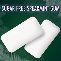 Spearmint Chewing Gum Sugar Free, Mint Gum Bulk Pack, 8.8 Ounce (180 Piece Bag)