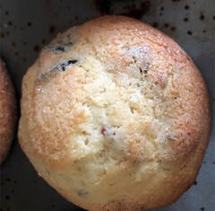 Super Moist Cranberry Orange Muffins * Made with Organic Ingredients