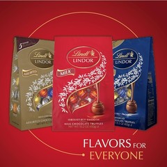 Experience Richness with Lindt Milk Chocolate Truffles – 15.2 oz Bag, Kosher