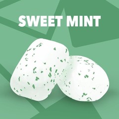 Sweet Mint Sugar Free Chewing Gum 6 Packs Bulk Pack