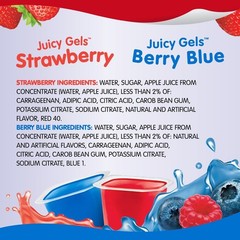 Snack Pack Strawberry & Berry Blue Juicy Gels Cups – 12 Count Family Pack