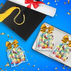 Party-Sized 38 oz Resealable Bag of Milk Chocolate Peanut Candies for Sharing
