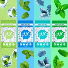 PUR Gum Aspartame Free Chewing Gum 100% Xylitol Natural Flavored Gum Pack of 8