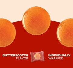 Coastal Bay BUTTERSCOTCH SUGAR FREE CANDY ORIGINAL HARD BUTTON CANDIES BULK BAG!