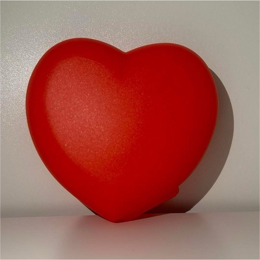 Brand New Tupperware Heart Case