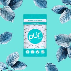 Pur Wintergreen Chewing Gum Pack Of 3 Sugar Free 55 Pieces Aspartame Free