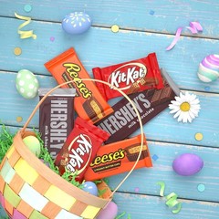 Assorted Milk Chocolate Bars – 36 Count