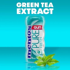 Mentos Pure Fresh Wintergreen Sugar Free Gum 10 Pack 15 Pieces Each