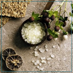 Krinos Greek Mastic Gum: Rich History, Piney Flavor, light yellowish-white