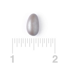 Bayside Candy Jordan Almonds – Candy-Coated Roasted Almonds in Elegant Colors
