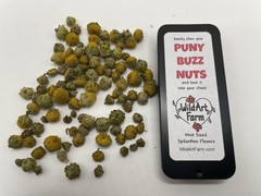 Herbal Buzz Button Mints – PUNY BUZZ NUTS – Breath Mint Sized Spilanthes Flowers