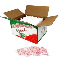 500 Count Mini Candy Canes – Bulk Peppermint Sticks