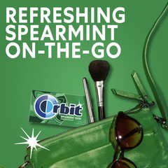Spearmint Sugarless Chewing Gum Bulk, 8 Packs of 14-Pieces, Case of 6 (672 Total