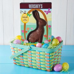 HERSHEY’S Solid Milk Chocolate Bunny, Easter 14 Oz. (Pack of 1), brown EXP 3/27