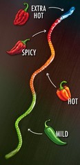 The Gummy Fireworm™ Two feet of increasing spiciness