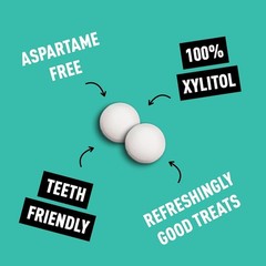 100% Xylitol Mints Peppermint, 50 GR