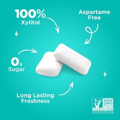 PUR Gum | Aspartame Free Chewing | 100% 9 Count (Pack of 12), Wintergreen