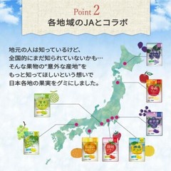 KANEKA [ Fruit Gummy Candy : Kisarazu Blueberry 40g ×10pcs ]