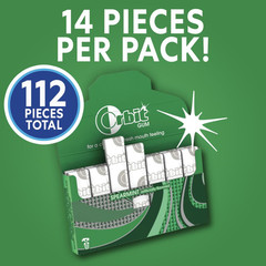 Spearmint Sugarless Chewing Gum Bulk, 8 Packs of 14-Pieces, Case of 6 (672 Total