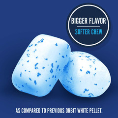 Gum White Peppermint Sugar Free Chewing Gum Bulk Pack, 40 Piece Bottle (Pack of