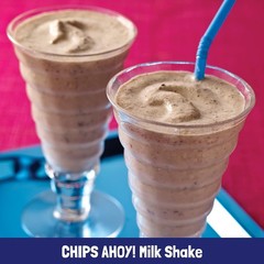 Chocolate Chip Cookies 13 oz Crunchy Kosher Snack Cookies