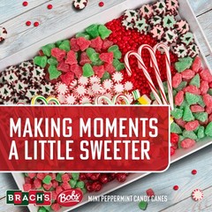 Convenient 260 Count Mini Candy Canes Tub – Peppermint Flavor for Any Occasion