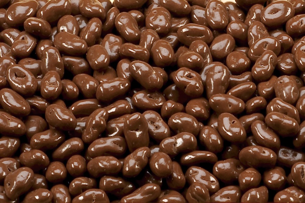 GOURMET MILK Chocolate Covered Raisins BULK CANDY-1 POUND BAG – BUY MORE SAVE $$
