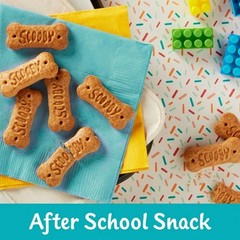 Kellogg’s Cinnamon Graham Snacks Kids Crackers Snack Packs 10 Count Box