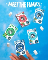 Spearmint | Plastic Free Gum | Xylitol, Aspartame-Free, Sugar-Free, Plant-Bas…