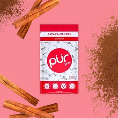 PUR Gum | Aspartame Free Chewing | 100% 55 Count (Pack of 3), Cinnamon