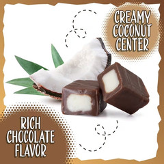 Chocolate Caramel Cubes Coconut Filled Candy | 1.5 LB ~ 3 LB | Free Ship!