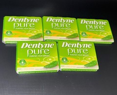 Dentyne Pure Mint Melon Accents Sugar Free Gum 5 Packs of 9 Pcs, 45 Total Pcs