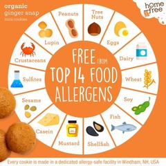 Homefree Mini Ginger Snap Cookies, Gluten Free, Nut 5 Ounce (Pack of 1), 0