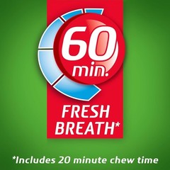 Dentyne Ice Spearmint, Sugar Free Gum, 9 Packs of 16 Pieces (144 Total Pieces)