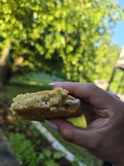 Dozen – White Chocolate Chip Oatmel Cookies