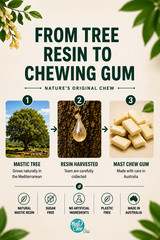 Organic Mastic Resin Mint Chewing Gum Mast Chew 8 pcs x 12