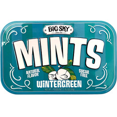 Big Sky Sugar Free Wintergreen Mint Candy 50G Tin 6 Count Display Tray