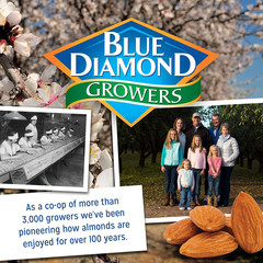 Blue Diamond Almonds Dark Chocolate Cocoa Dusted Snack Nuts, 100 Calorie Packs,