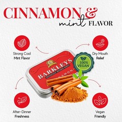 Cinnamon Breath Mints in Elegant Travel Tins – 50 Count for Freshness